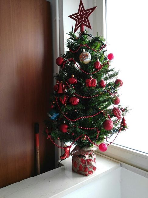 I nostri alberi.... - 1