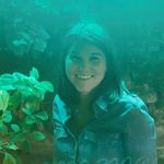Delfina