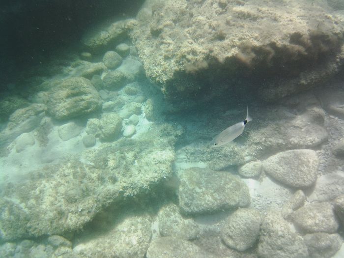 Gopro quale comprare? - 1