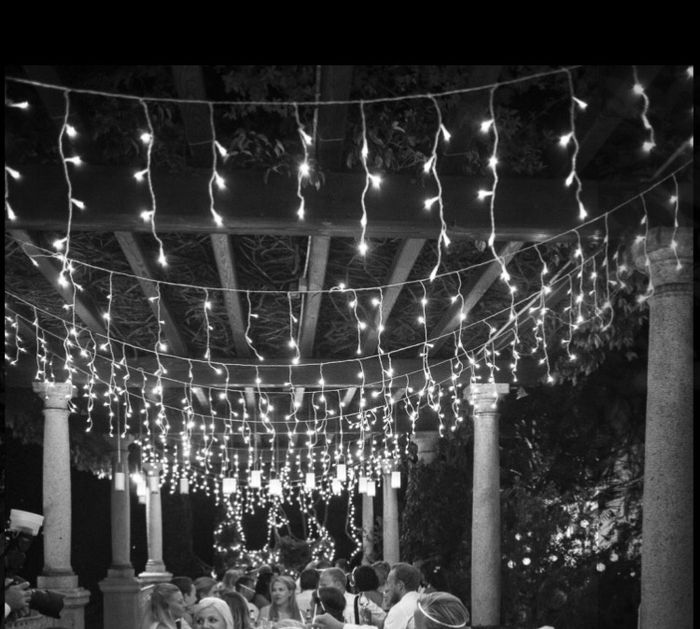 Location - luci sugli alberi(?) - 1