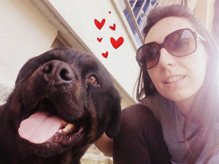 Too cute: i vostri amici animali - 7