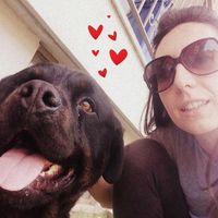 Too cute: i vostri amici animali - 7