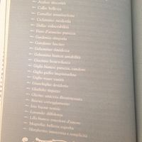Fiori e significato ! - 1