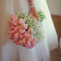 Che fiori sono ? - 1