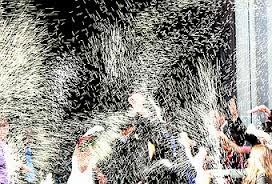 Quanto riso ci vuole? - 1