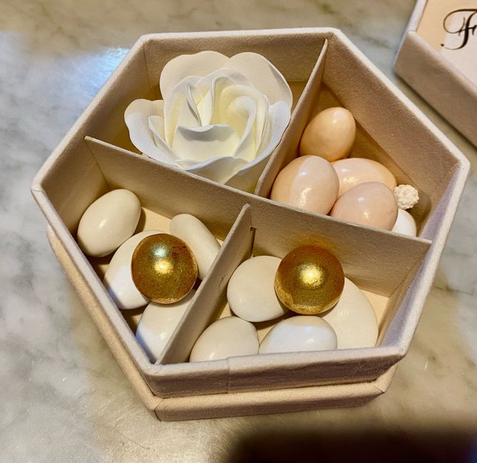 Scatoline confetti 6