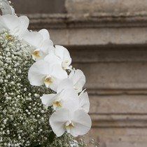 Tipo di fiori... - 1