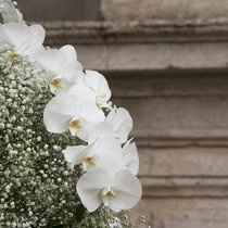 Tipo di fiori... - 1