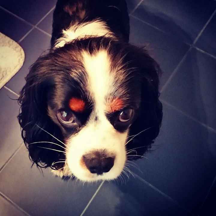 Ecco il nostro "bimbo" - 1