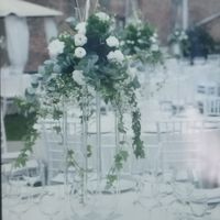 Centrotavola coppe Martini a stelo lungo - 1