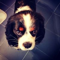 Ecco il nostro "bimbo" - 1