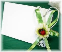 segnaposto coccinella