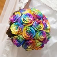x irene matrimonio arcobaleno