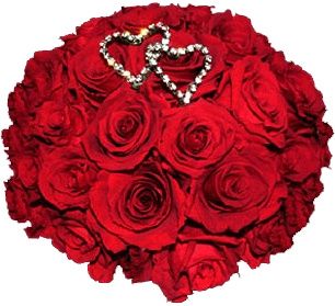 x linda cuori