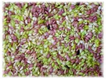 matrimonio glicine - verde mela