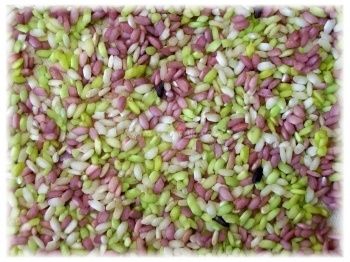 matrimonio glicine - verde mela