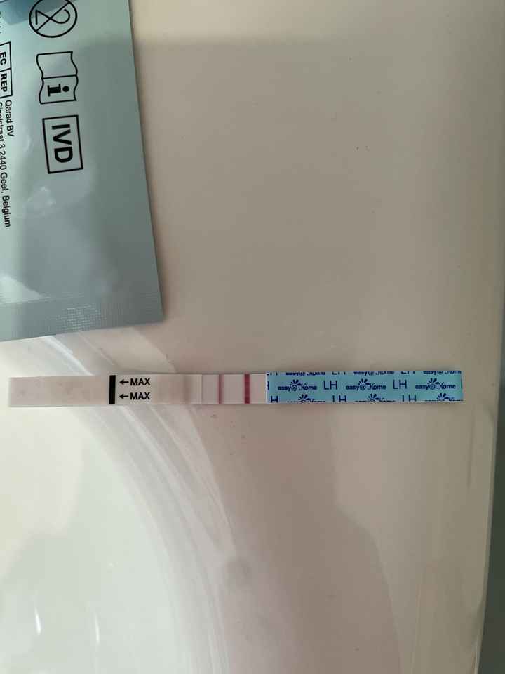 Per chi non le aspetta ottobre, novembre e dicembre 2024🍀🐞 - 1