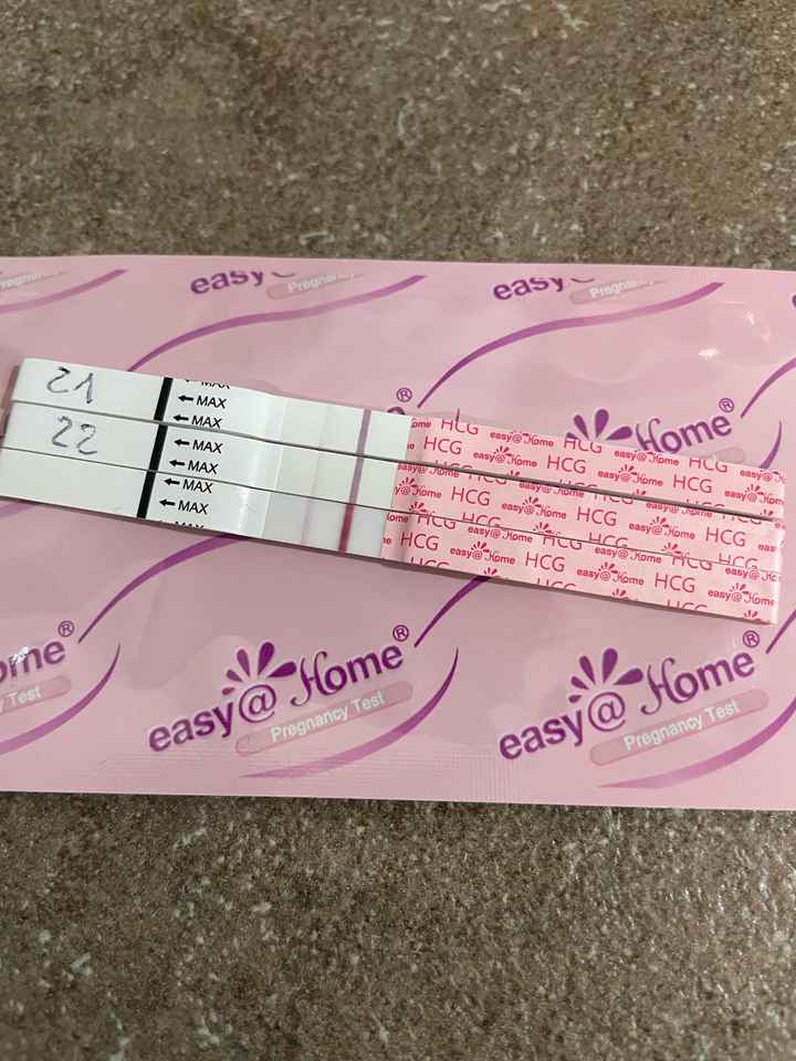 Per chi non le aspetta ottobre, novembre e dicembre 2024🍀🐞 - 1