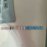 Per chi non le aspetta ottobre, novembre e dicembre 2024🍀🐞 - 1