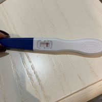 Per chi non le aspetta ottobre, novembre e dicembre 2024🍀🐞 - 1