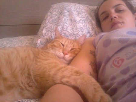 Ma il vostro gatto vi prende in giro? - 3