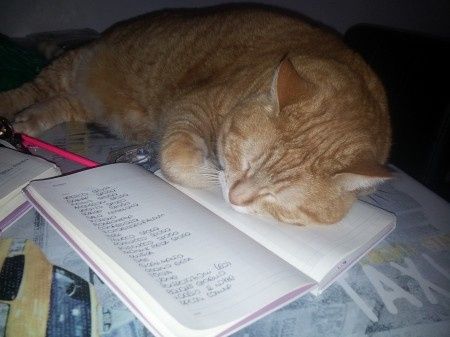Le foto dei vostri animali - 2