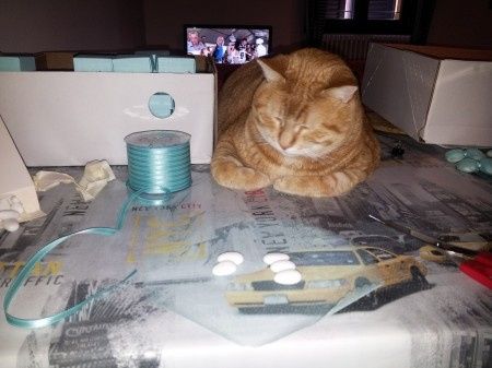 Le foto dei vostri animali - 3