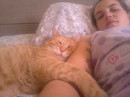 Ma il vostro gatto vi prende in giro? - 3