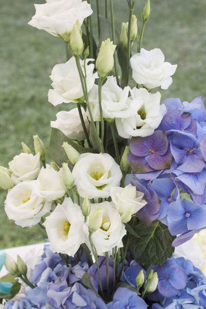 Fiori per matrimonio... Un consiglio per favoreee - 2