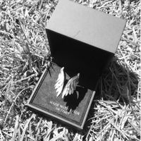 Il mio Anello di fidanzamento...Icaro 