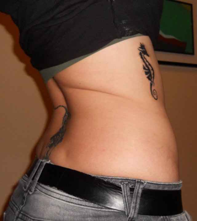 leone ecavalluccio marino