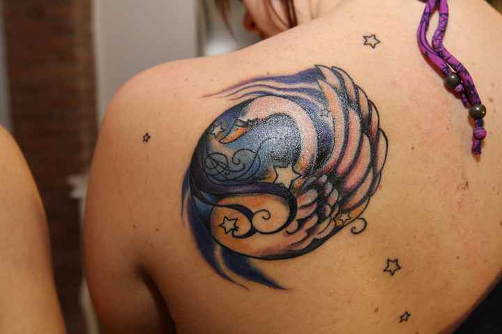 costellazione del cigno con cigno