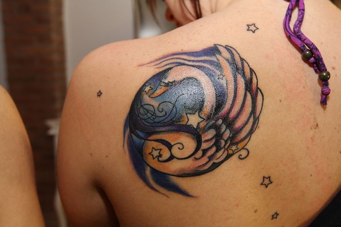 costellazione del cigno con cigno