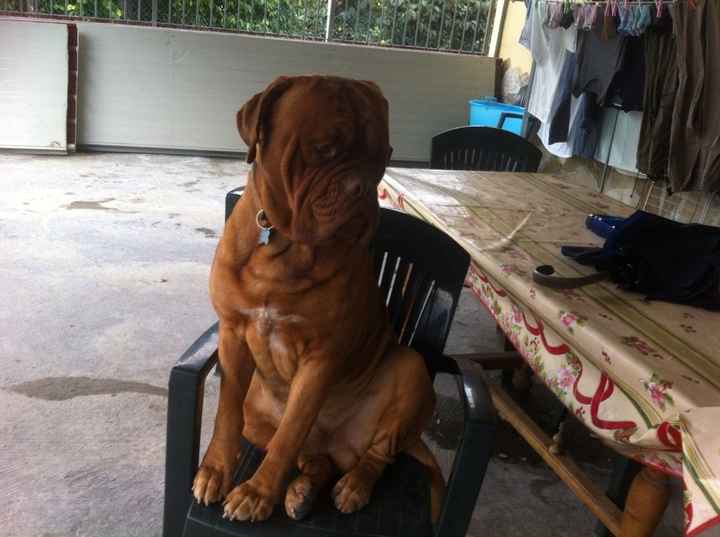 Io....luiii....e il nostrooo totÒ? - 1