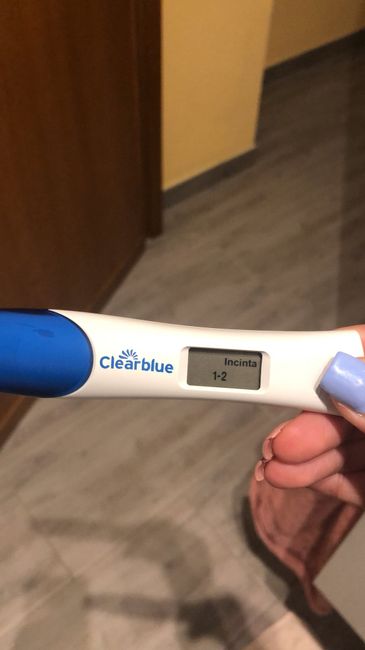 Febbraio 2019 - le aspiranti future mamme 1