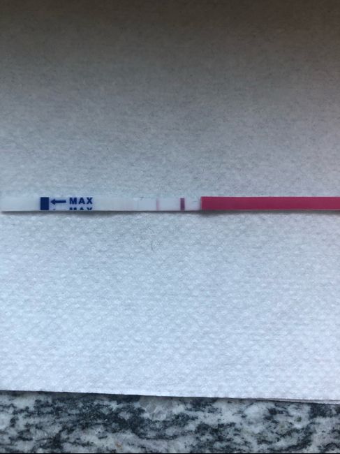 Chi non le aspetta per gennaio 2020 - 1