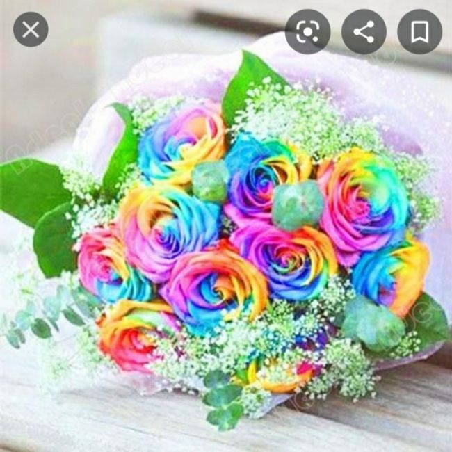 Consigli bouquet xd 18