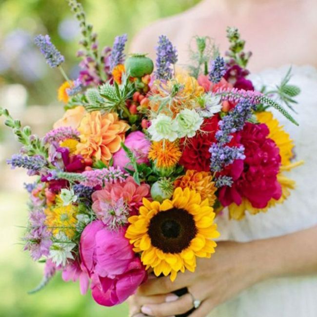 Consigli bouquet xd 22