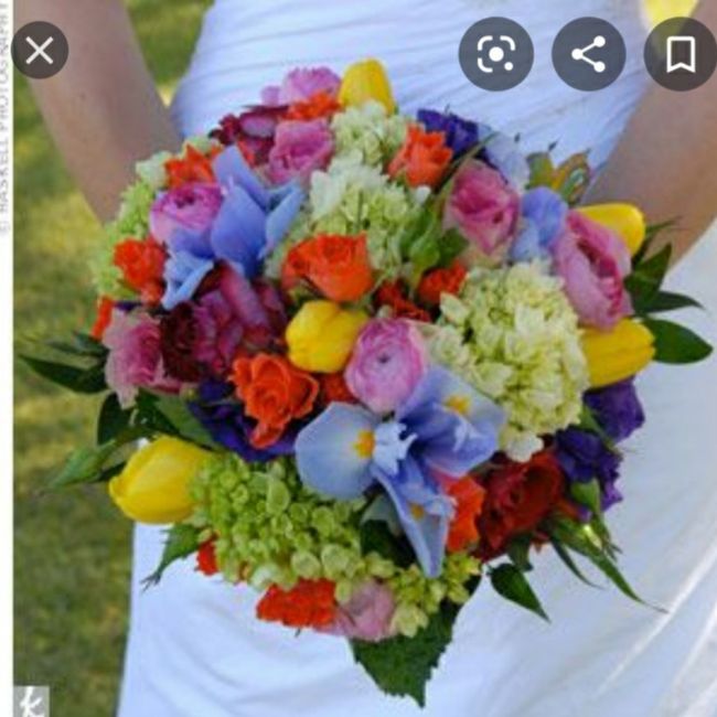 Consigli bouquet xd 23