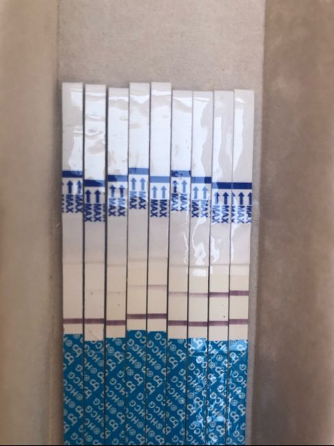 Future Mamme Febbraio 2021 - 1