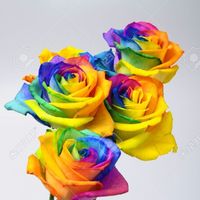 Sei una sposa tradizionale? -Scegli il tuo bouquet - 1