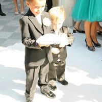 L'abito da paggetto di oggi 15/04/2016 - 1