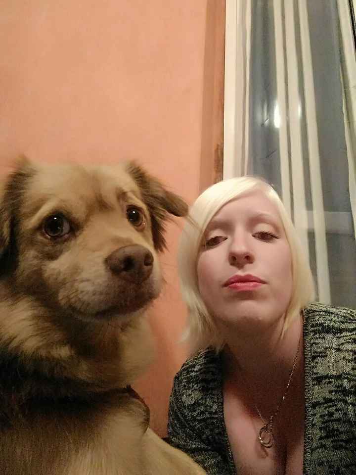 Pelosi alla riscossa! :) chi portera' il suo amico peloso al matrimonio? - 1