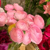 Animazione bimbi: sì o no? - 1