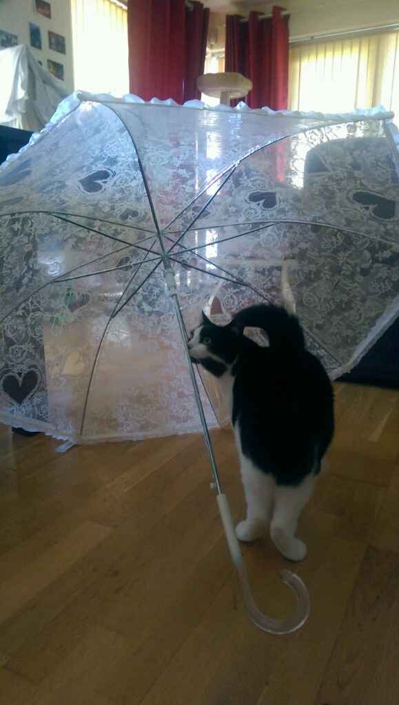 ..e se piovesse? ombrello! - 3