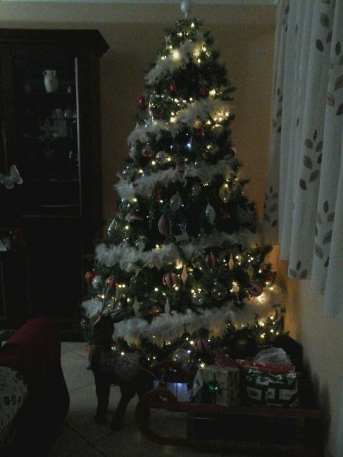 Ultimo natale a casa (da single )! - 2