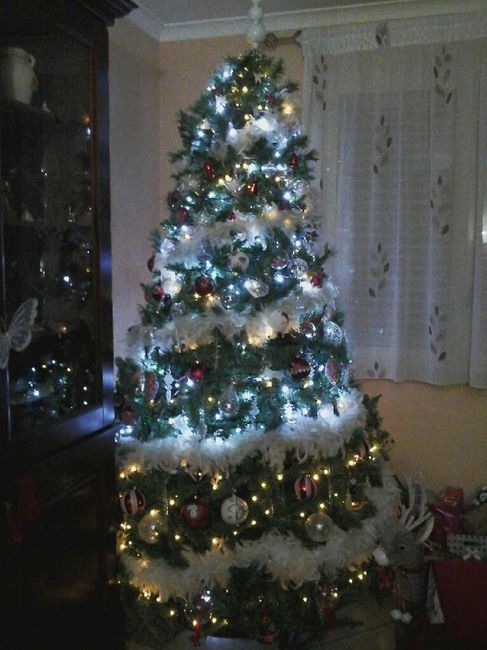 Ultimo natale a casa (da single )! - 3