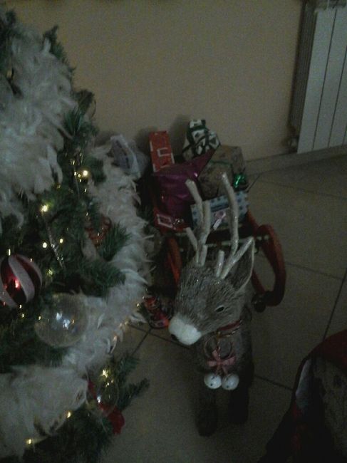 Ultimo natale a casa (da single )! - 4