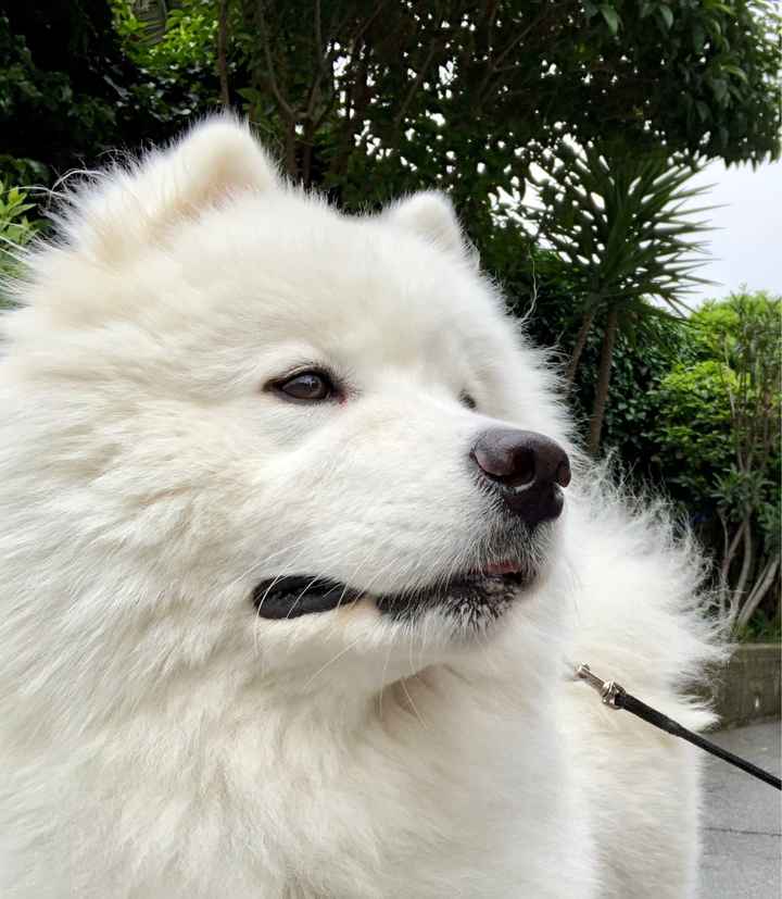 Voi farete un regalo al vostro fidanzato? - 2