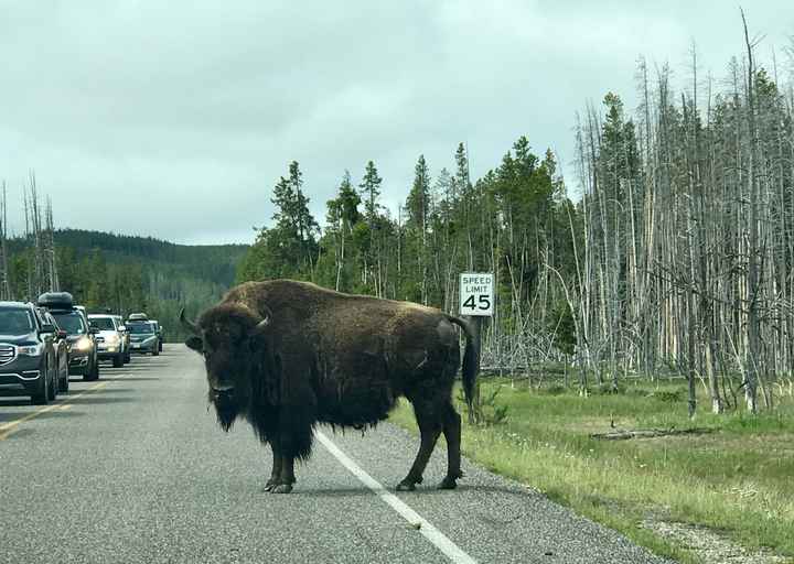 Meta del viaggio di nozze,??😍 - 2